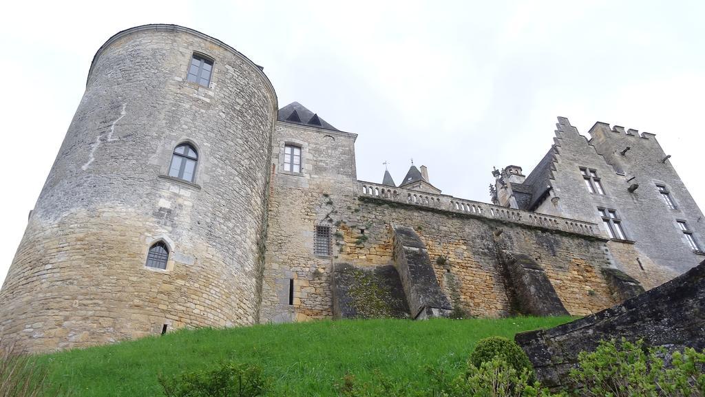Au Pied Du Chateau - 5 A 11 Personnes - Baignade-Canoe-Piste Cyclable A 100 M Castelnaud La Chapelle Δωμάτιο φωτογραφία