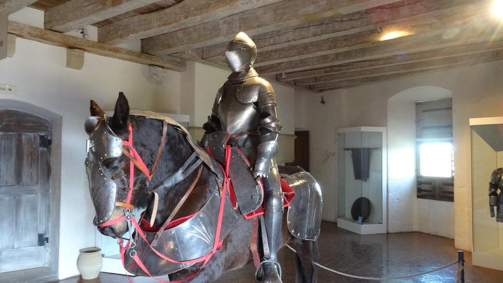 Au Pied Du Chateau - 5 A 11 Personnes - Baignade-Canoe-Piste Cyclable A 100 M Castelnaud La Chapelle Εξωτερικό φωτογραφία