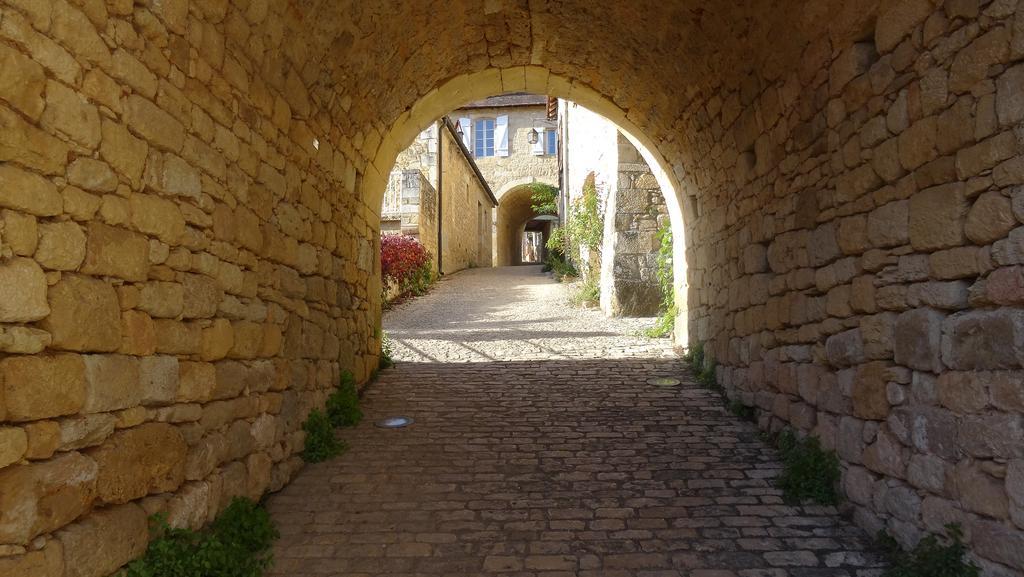 Au Pied Du Chateau - 5 A 11 Personnes - Baignade-Canoe-Piste Cyclable A 100 M Castelnaud La Chapelle Εξωτερικό φωτογραφία