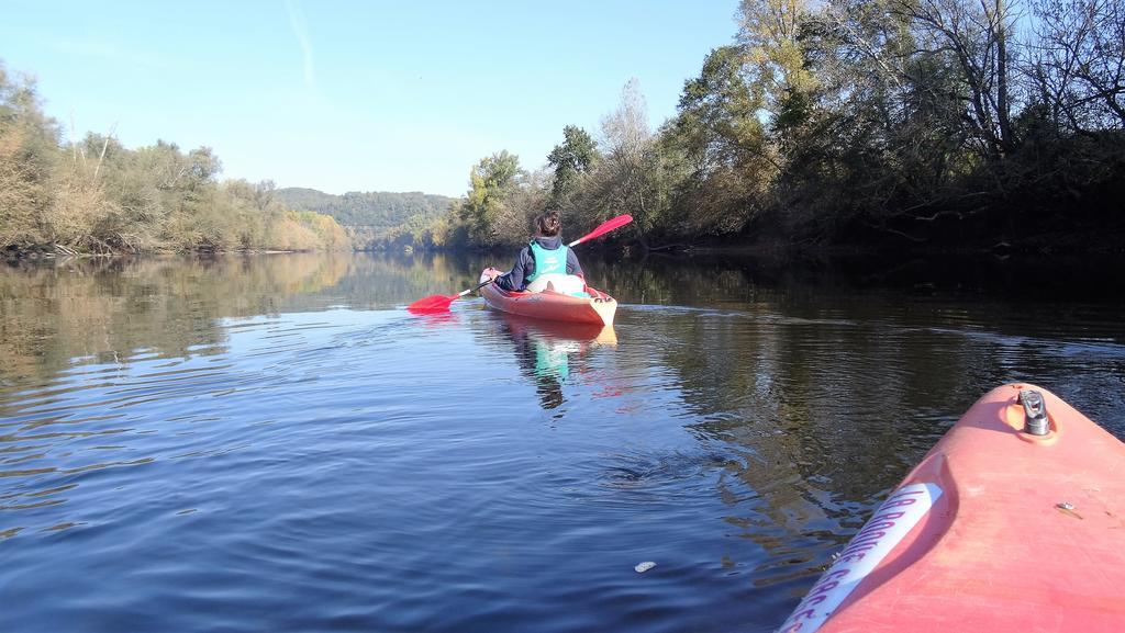 Au Pied Du Chateau - 5 A 11 Personnes - Baignade-Canoe-Piste Cyclable A 100 M Castelnaud La Chapelle Εξωτερικό φωτογραφία