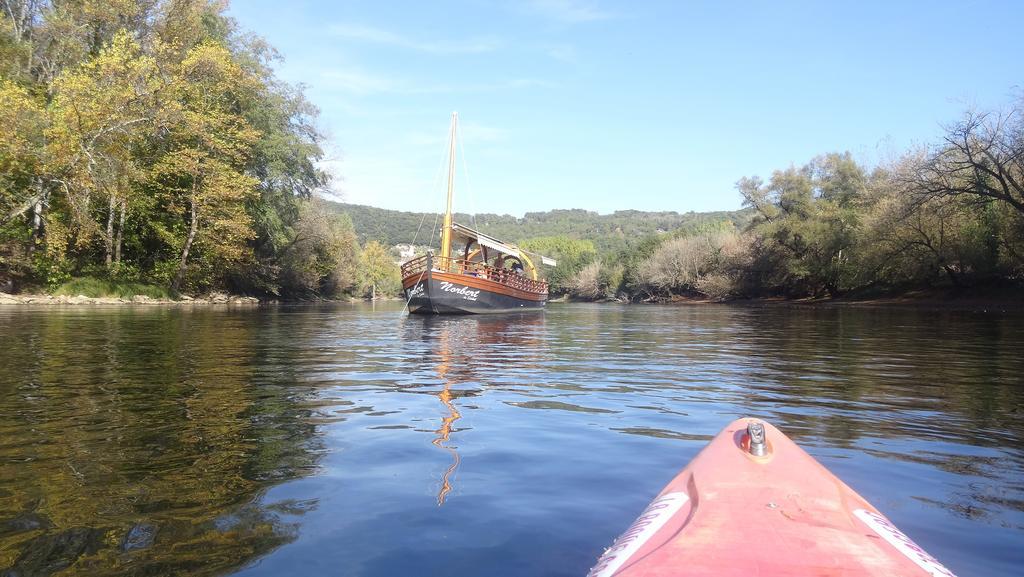 Au Pied Du Chateau - 5 A 11 Personnes - Baignade-Canoe-Piste Cyclable A 100 M Castelnaud La Chapelle Εξωτερικό φωτογραφία