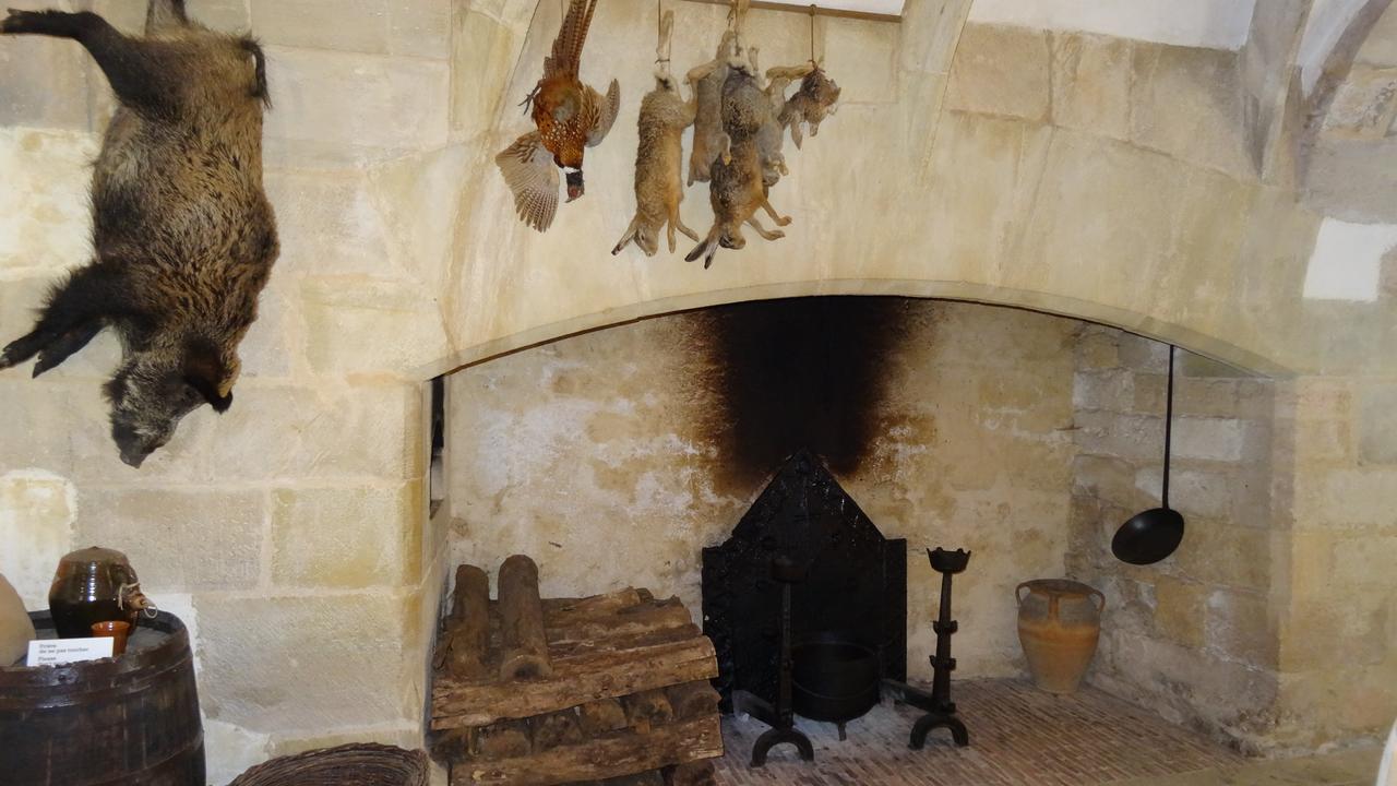 Au Pied Du Chateau - 5 A 11 Personnes - Baignade-Canoe-Piste Cyclable A 100 M Castelnaud La Chapelle Εξωτερικό φωτογραφία